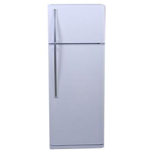 Δίπορτο ψυγείο ROBIN RT-455